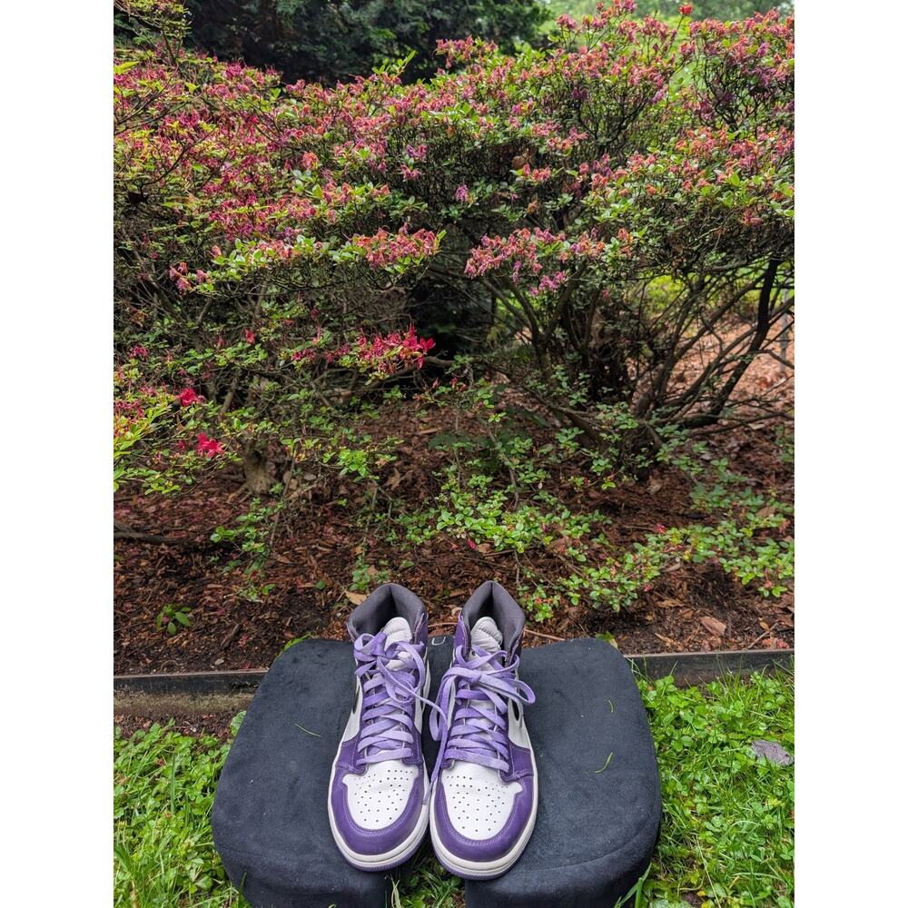 Size 10.5 - Air Jordan 1 SE Mid Varsity Purple
